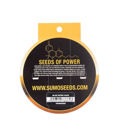 Семена сорта Blue Nitro Haze fem (Sumo Seeds)
