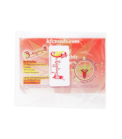 Семена сорта Kali´s White Shadow fem (KFC Seeds)