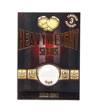 Семена сорта Goldmine fem (Heavyweight Seeds)