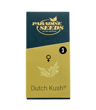 Семена сорта Dutch Kush fem (Paradise Seeds)