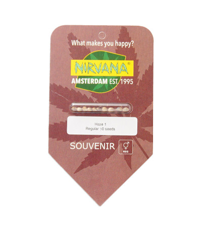 Семена сорта Haze 1 (Amnesia Haze) reg (Nirvana Seeds)