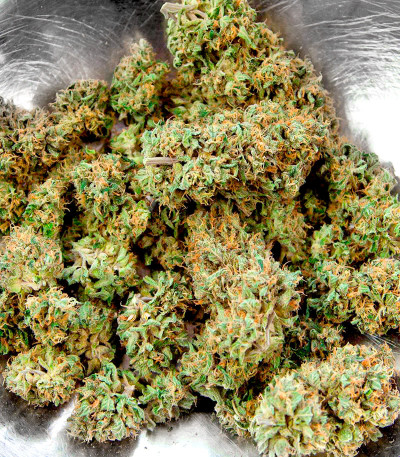 Семена сорта Gorilla Zkittlez fem (Семяныч)