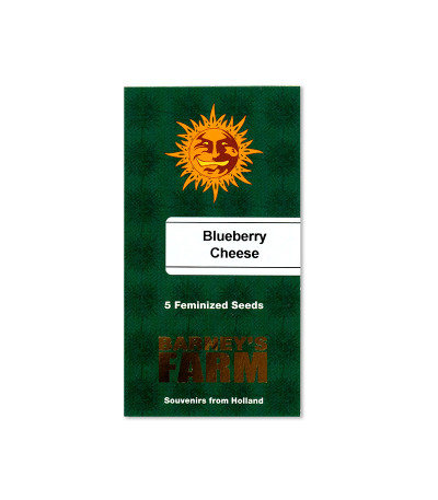Семена сорта Blueberry Cheese fem (Barneys Farm)