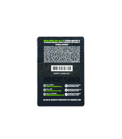 Семена марихуаны King’s Kush Auto в оригинальной упаковке