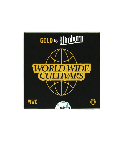 Семена сорта Bubble Gum Sherb fem (Blimburn Seeds)