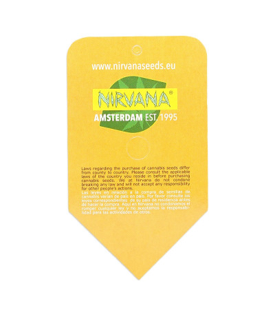 Семена сорта Blueberry Kush Automatic fem (Nirvana Seeds)