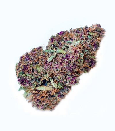 Семена сорта Monster Pebbles (Monster Genetics)