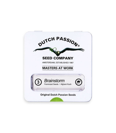 Семена конопли Brainstorm в оригинальной упаковке