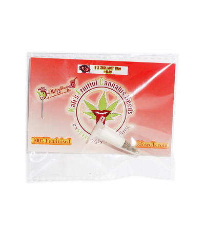 Семена сорта Jack Mist Tree fem (KFC Seeds)