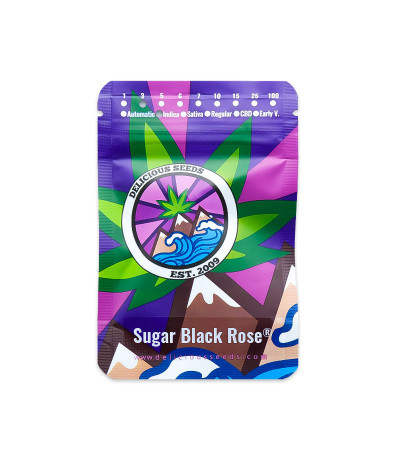 Семена сорта Sugar Black Rose fem (Delicious Seeds)