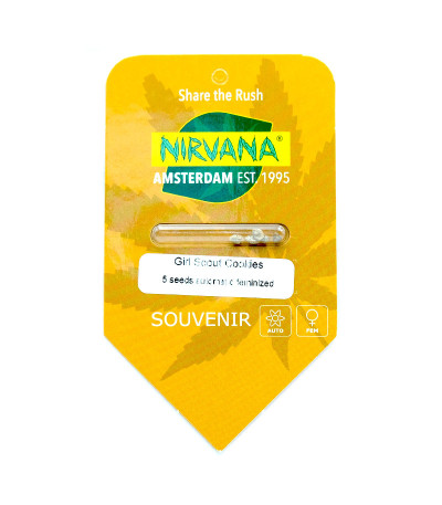 Семена сорта Girl Scout Cookies Auto fem (Nirvana Seeds)