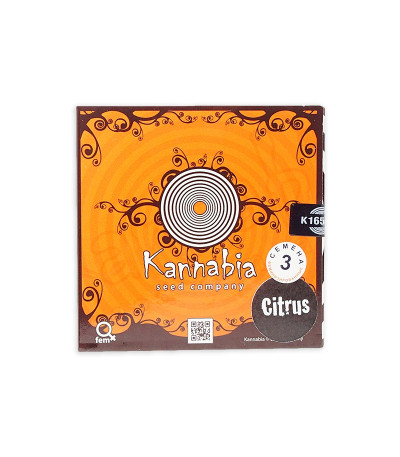 Семена сорта Citrus fem (Kannabia Seed Company)