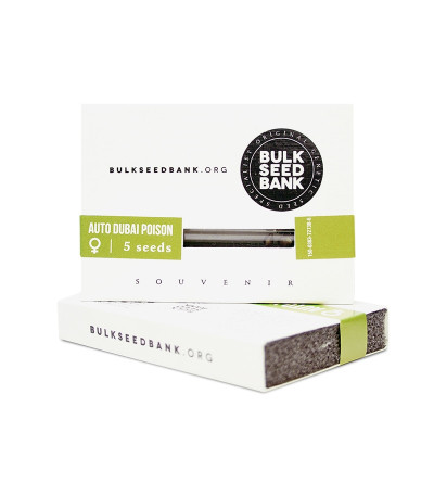 Семена сорта Auto Dubai Poison fem