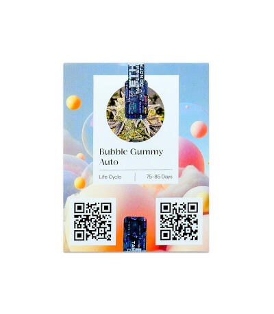 Семена сорта Bubble Gummy Auto fem (Ethos Genetics)