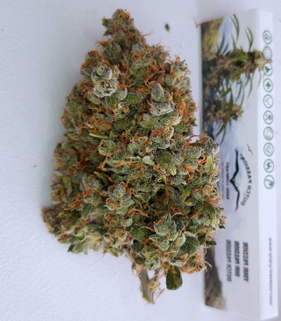 Семена сорта Auto Lemon Kix fem (Dutch Passion)