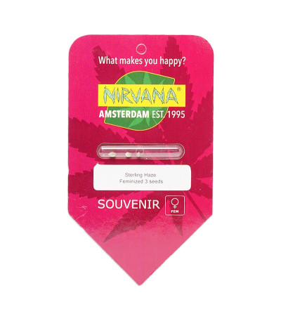 Семена сорта Sterling Haze fem (Nirvana Seeds)
