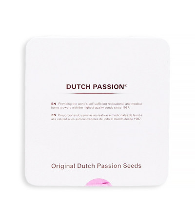 Семена сорта Snow Storm #2 (Dutch Passion)