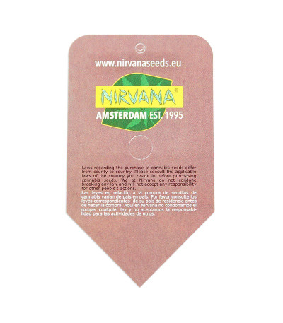 Семена сорта Swiss Cheese regular