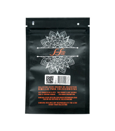 Семена сорта Kiss Dragon fem (Samsara Seeds)