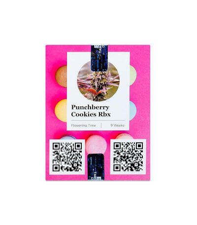 Семена сорта Punchberry Cookies RBX fem (Ethos Genetics)