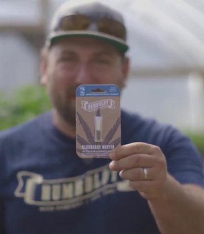 Семена сорта Blueberry Muffin fem (Humboldt Seed Company)