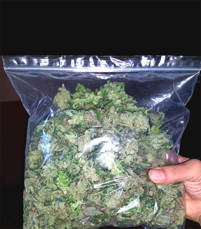 Семена сорта Auto Blueberry Banana fem (Anesia Seeds)