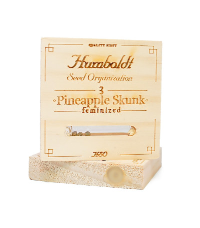 Семена сорта Pineapple Skunk fem (Humboldt Seeds)