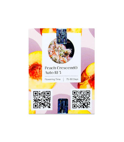 Семена сорта Peach Crescendo Auto RF3 fem (Ethos Genetics)