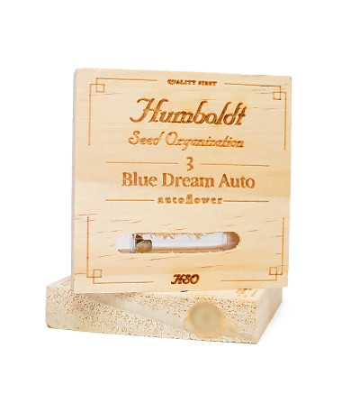 Семена сорта Blue Dream Auto fem (Humboldt Seeds)