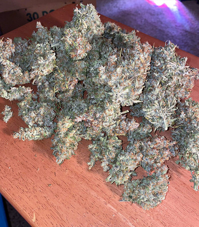 Семена сорта Original Auto Skunk fem (FastBuds)