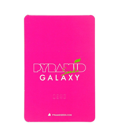 Семена сорта Galaxy fem (Pyramid Seeds)