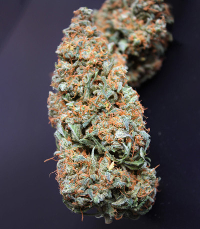 Семена сорта Strawberry Cream fem (Sumo Seeds)