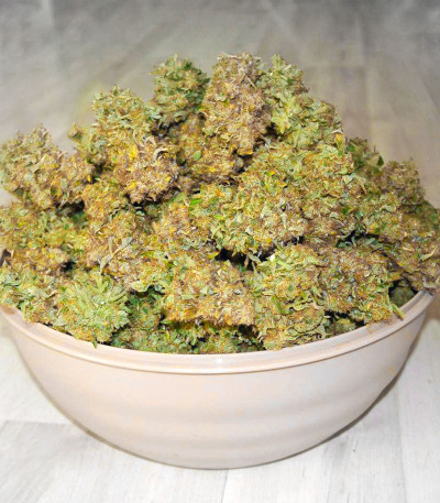 Семена сорта Wedding Cake fem (Cali Buds Seeds)