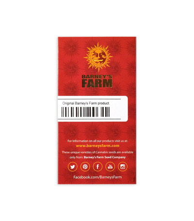 Семена сорта Critical Kush Auto fem (Barney's Farm)