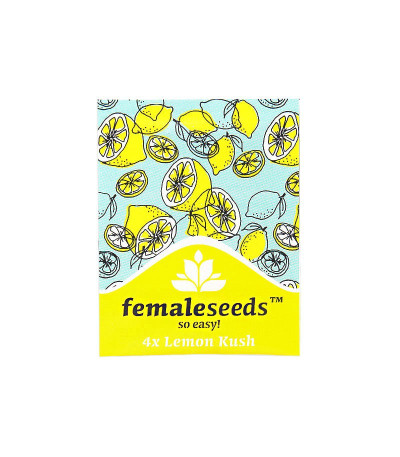 Семена сорта Lemon Kush fem (Female Seeds)