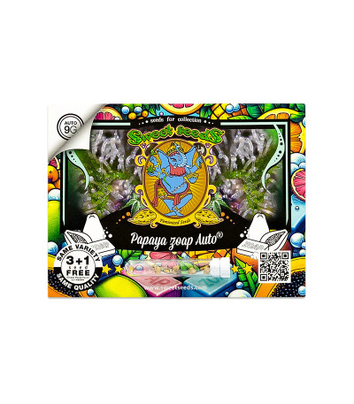 Семена сорта Papaya Zoap Auto fem (Sweet Seeds)