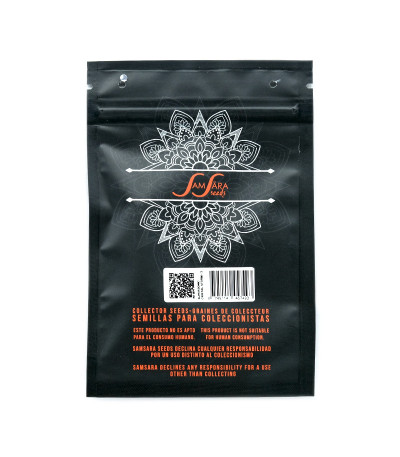 Семена сорта Supersonic Cristal Storm Auto fem (Samsara Seeds)