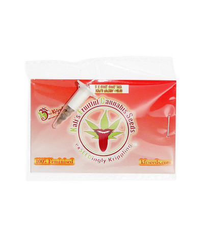 Семена сорта Night Night fem (KFC Seeds)