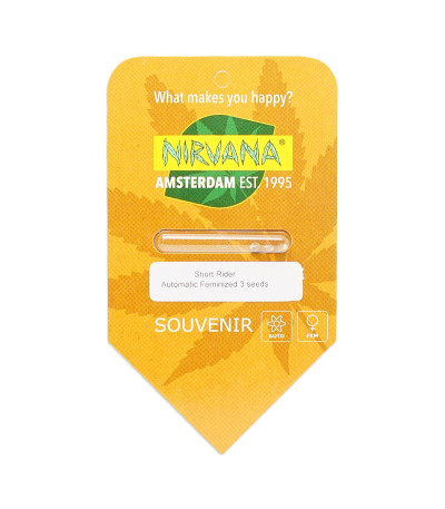 Семена сорта Short Rider Automatic fem