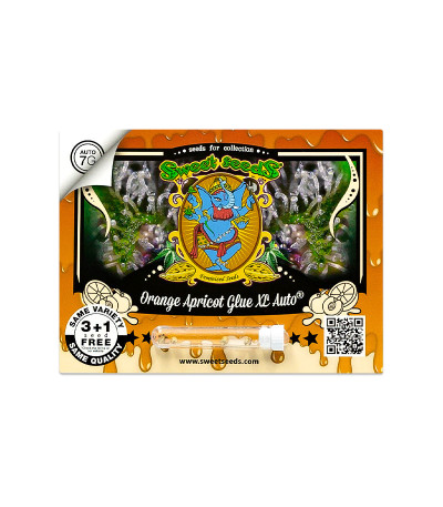 Семена сорта Orange Apricot Glue XL Auto fem (Sweet Seeds)