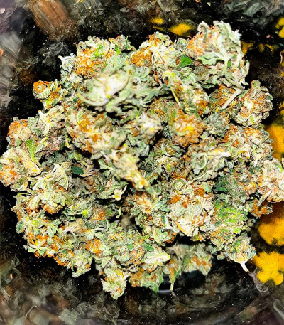 Семена сорта Banana Cookies fem (Advanced Seeds)