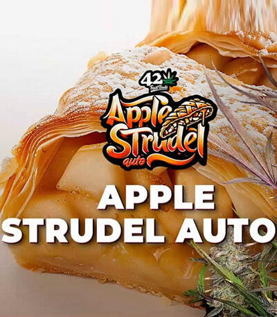 Семена сорта Apple Strudel Auto fem (FastBuds)