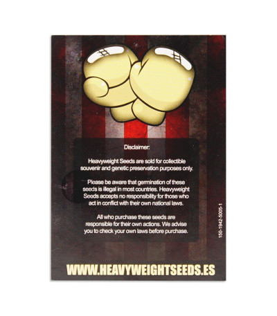 Семена сорта Extreme Impact Auto fem (Heavyweight Seeds)