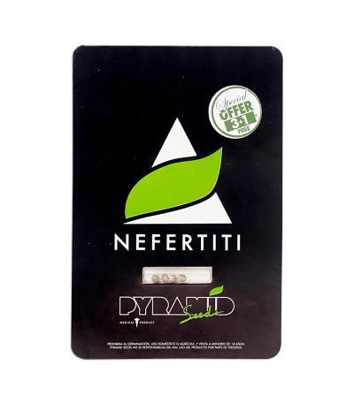Семена сорта Nefertiti fem (Pyramid Seeds)