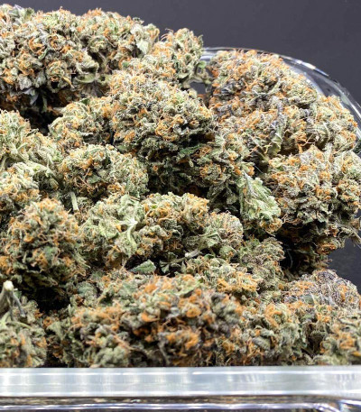 Семена сорта Blue Gelato 41 (Barney's Farm)