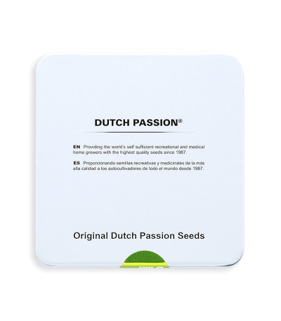 Семена сорта Think Fast fem (Dutch Passion)