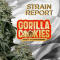 Семена сорта Gorilla Cookies FF fem (FastBuds)