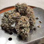 watermelon-zkittlez-fem-barneys-farm.jpg
