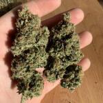 wedding-cake-auto-fem-barneys-farm.jpg