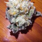booberry-cookies-rbx-fem-ethos-genetics.jpg